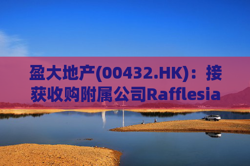盈大地产(00432.HK)：接获收购附属公司Rafflesia的要约  代价4亿美元