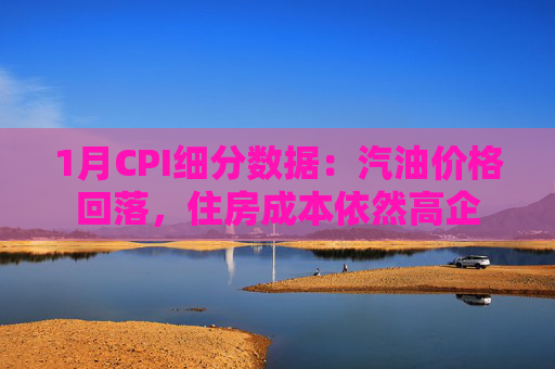 1月CPI细分数据：汽油价格回落，住房成本依然高企