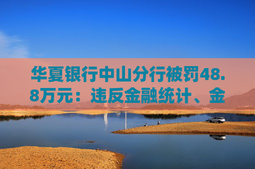 华夏银行中山分行被罚48.8万元：违反金融统计、金融科技管理规定  第1张