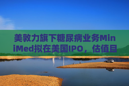美敦力旗下糖尿病业务MiniMed拟在美国IPO，估值目标79亿美元