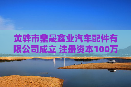 黄骅市鼎晟鑫业汽车配件有限公司成立 注册资本100万人民币