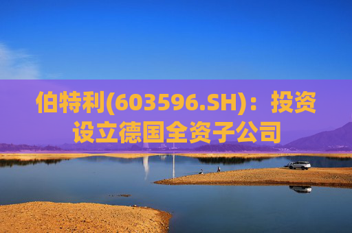 伯特利(603596.SH)：投资设立德国全资子公司