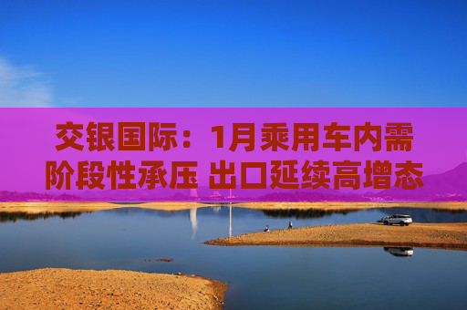 交银国际：1月乘用车内需阶段性承压 出口延续高增态势