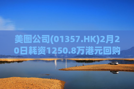 美图公司(01357.HK)2月20日耗资1250.8万港元回购205.7万股  第1张