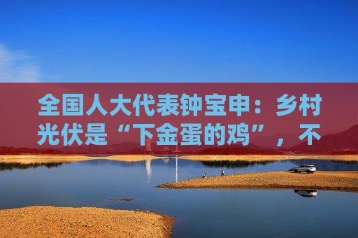 全国人大代表钟宝申：乡村光伏是“下金蛋的鸡”，不能杀鸡取卵