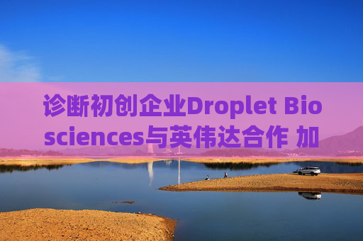 诊断初创企业Droplet Biosciences与英伟达合作 加速癌症检测结果出炉