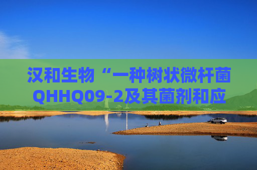 汉和生物“一种树状微杆菌QHHQ09-2及其菌剂和应用”专利获授权
