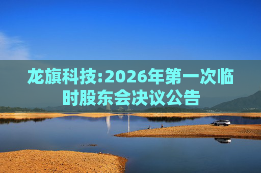 龙旗科技:2026年第一次临时股东会决议公告
