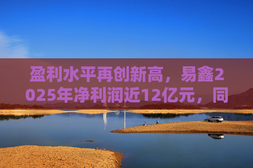 盈利水平再创新高，易鑫2025年净利润近12亿元，同比增长48%