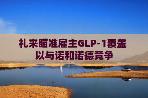 礼来瞄准雇主GLP-1覆盖 以与诺和诺德竞争