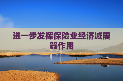 进一步发挥保险业经济减震器作用