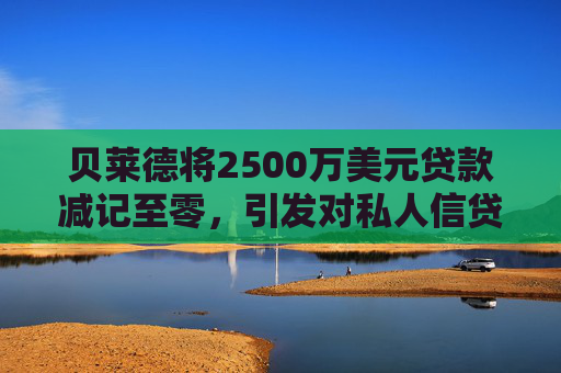 贝莱德将2500万美元贷款减记至零，引发对私人信贷的担忧  第1张