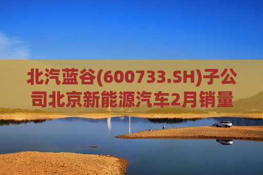 北汽蓝谷(600733.SH)子公司北京新能源汽车2月销量7364辆 同比增长18.26%