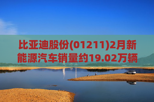 比亚迪股份(01211)2月新能源汽车销量约19.02万辆