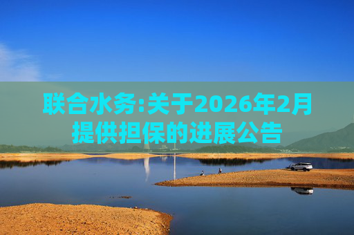 联合水务:关于2026年2月提供担保的进展公告