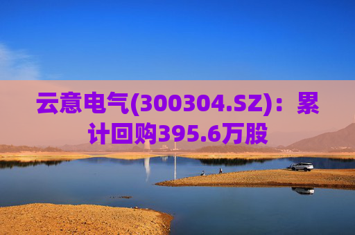 云意电气(300304.SZ)：累计回购395.6万股