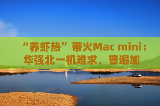“养虾热”带火Mac mini： 华强北一机难求，普遍加价几百元