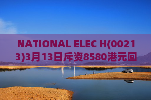 NATIONAL ELEC H(00213)3月13日斥资8580港元回购2.2万股