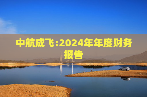 中航成飞:2024年年度财务报告  第1张