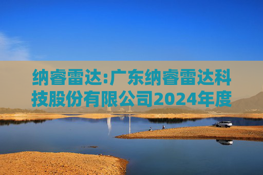 纳睿雷达:广东纳睿雷达科技股份有限公司2024年度董事会工作报告
