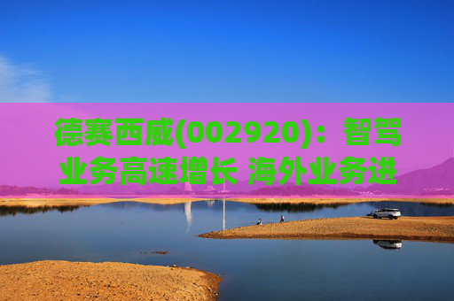 德赛西威(002920)：智驾业务高速增长 海外业务进展积极