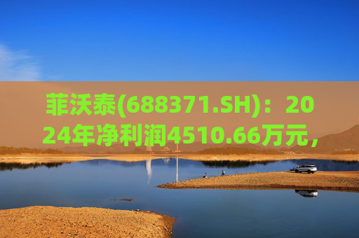 菲沃泰(688371.SH)：2024年净利润4510.66万元，同比扭亏为盈