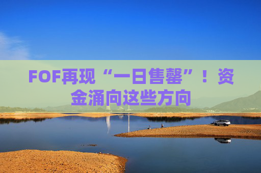 FOF再现“一日售罄”！资金涌向这些方向