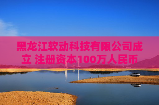 黑龙江软动科技有限公司成立 注册资本100万人民币  第1张