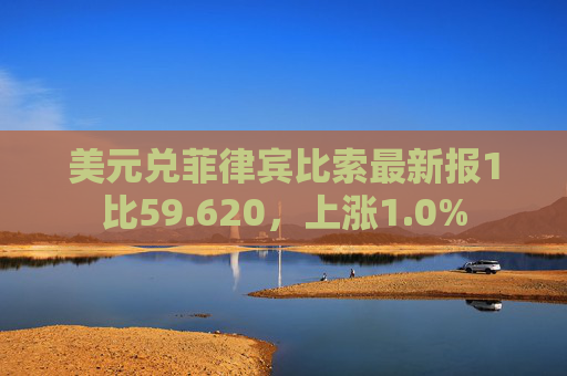 美元兑菲律宾比索最新报1比59.620，上涨1.0%  第1张