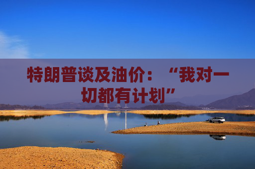 特朗普谈及油价：“我对一切都有计划”