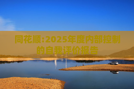 同花顺:2025年度内部控制的自我评价报告