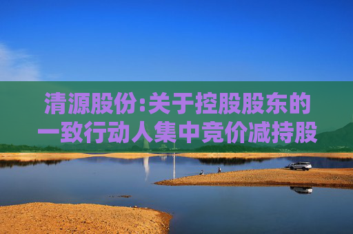 清源股份:关于控股股东的一致行动人集中竞价减持股份结果公告