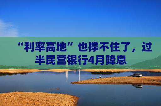 “利率高地”也撑不住了，过半民营银行4月降息  第1张