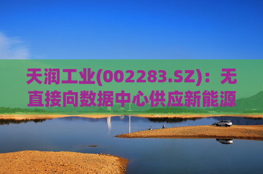 天润工业(002283.SZ)：无直接向数据中心供应新能源项目的业务