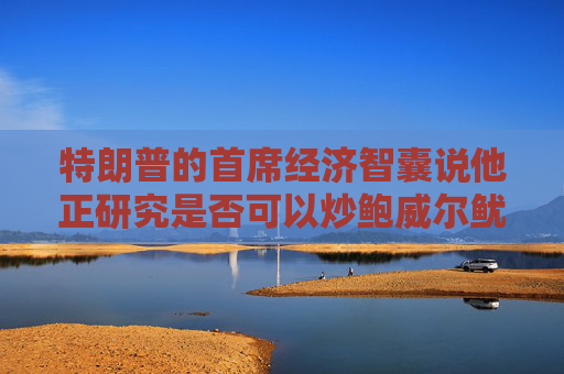 特朗普的首席经济智囊说他正研究是否可以炒鲍威尔鱿鱼  第1张