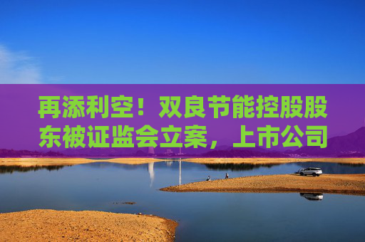 再添利空！双良节能控股股东被证监会立案，上市公司两年亏损超29亿元