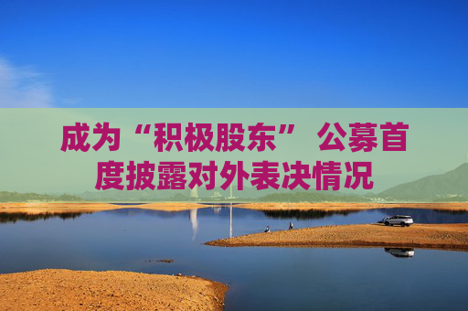 成为“积极股东” 公募首度披露对外表决情况