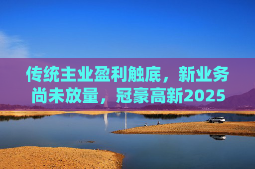 传统主业盈利触底，新业务尚未放量，冠豪高新2025年亏损超3亿