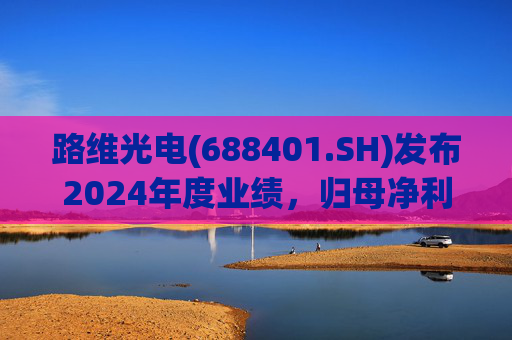 路维光电(688401.SH)发布2024年度业绩，归母净利润1.91亿元，同比增长28.27%