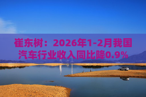 崔东树：2026年1-2月我国汽车行业收入同比降0.9% 行业利润率2.9%仍偏低