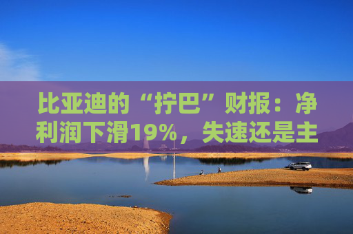 比亚迪的“拧巴”财报：净利润下滑19%，失速还是主动换挡？
