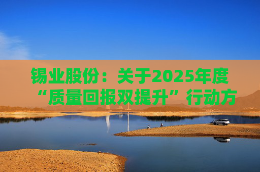 锡业股份：关于2025年度“质量回报双提升”行动方案实施评估报告