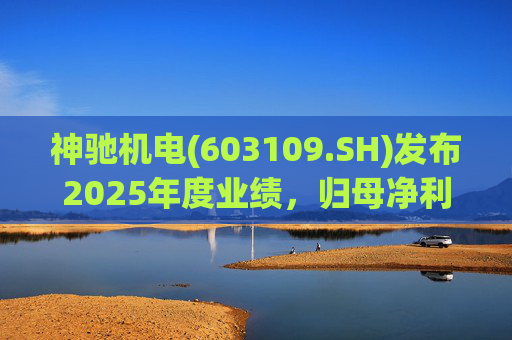 神驰机电(603109.SH)发布2025年度业绩，归母净利润1.34亿元，同比下降30.94%