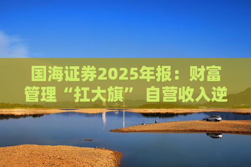 国海证券2025年报：财富管理“扛大旗” 自营收入逆势大降 投行收入占比仅2%
