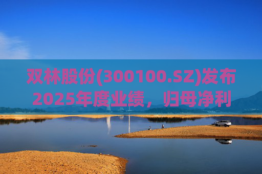 双林股份(300100.SZ)发布2025年度业绩，归母净利润5.03亿元，增长1.25%