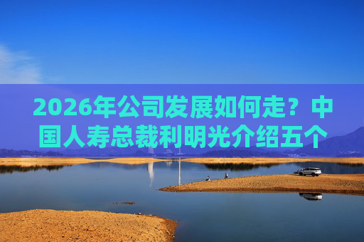 2026年公司发展如何走？中国人寿总裁利明光介绍五个重点改革领域