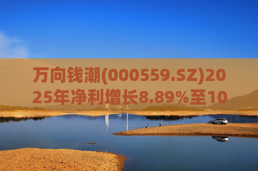 万向钱潮(000559.SZ)2025年净利增长8.89%至10.36亿元  拟10派2元