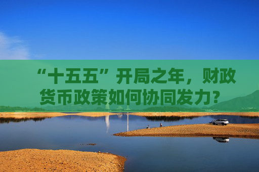 “十五五”开局之年，财政货币政策如何协同发力？