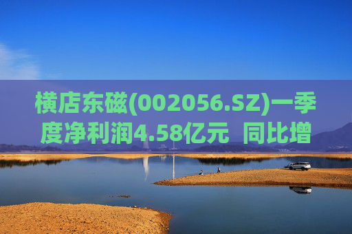 横店东磁(002056.SZ)一季度净利润4.58亿元  同比增长29.65%