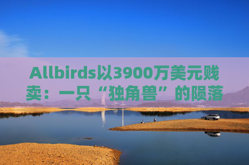 Allbirds以3900万美元贱卖：一只“独角兽”的陨落与DTC神话的终结
